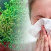 O‘zida koronavirus alomatlarini sezgan bemor qayerga murojaat qilishi kerak?