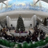 Toshkentda “Prezident archasi” tantanalari boshlandi (video)
