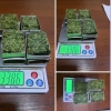 “Марихуана”нинг ноқонуний савдосига чек қўйилди