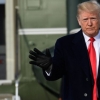 Пиноккио-президент. «Трамп яратганнинг иродаси билан сайланган»
