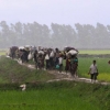 Myanmada istiqomat qiluvchi musulmonlarning minglab uylariga o‘t qo‘yildi