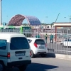 Toshkentda 2 ta avtobus to‘qnashdi va ulardan biri 2 nafar piyodani bosib ketdi