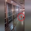 Kasalxonada ruh paydo bo‘lib, sharni o‘ynatdi (Video)