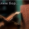 "5 кеча" ҳақида