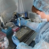 Koronavirus sun’iy yaratilgan: bu fitnami yoki haqiqat?