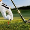 Shotland golf-klubi 273 yil amal qilgan taqiqlovni bekor qildi