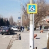 Қашқадарёда ҳайдовчи ЙПХ ходимига мушт тушириб, қочиб қолди