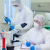 Олимлар коронавируснинг иккита янги мутациясини аниқлади
