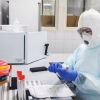 Россияда коронавирусга қарши 47 та вакцина ишлаб чиқилмоқда