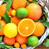 Apelsin, mandarin hamda limonning ko‘z va xotiraga ta’siri qanday?