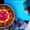 Koronavirus - biologik qurolmi?