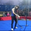 Бўғма илон цирк артистини намойиш пайтида бўғиб қўйди (видео)