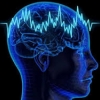 Инсон мийясининг атиги 10% ишлаши ҳақида