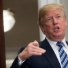 Donald Tramp o‘zining menyusi haqida ma’lumot berdi