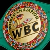 WBC янгиланган рейтингида 8 нафар ўзбекистонлик боксчи жой олди