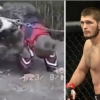 9 yoshli Xabib Nurmagomedovning ayiq bilan olishuvi (video)