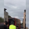 Londonda arilar to‘dasi transport harakatini to‘xtatib qo‘ydi (video)
