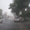 FVV: 1 mart kuni yomg‘ir va shamol kuchayishi kutilmoqda