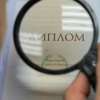 Оҳангаронда бошланғич таълим ўқитувчиси сохта диплом билан ишга киргани фош этилди