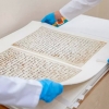Ноёб Катта Лангар Қуръони Ўзбекистонда реставрация қилинди (фото)