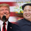 Tramp va Kim Chen In uchrashuvi necha pulga tushyapti?