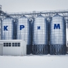 Россиядаги йирик агрофирмалардан бири Ўзбекистонда картошка етиштирмоқчи