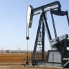 Қозоғистон нефть қазиб олишни камайтиради