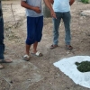 Олмалиқда марихуана қовураётган шахслар ушланди