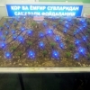 Ўзбек олимлари сувсиз ерда боғ барпо қилиш йўлини ўйлаб топишди