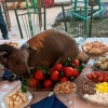Мақом-2018: Вилоятларнинг пазандачилик санъати намойиш этилди (фото)