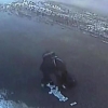 Ўғри пул тўла сумкани эплаб олиб кетолмади (видео)