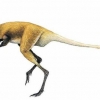 Dinozavrlarning asl Vatani O‘zbekiston ekanligi ma’lum bo‘ldi