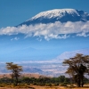 Amerikalik 89 yoshli ayol Kilimanjaro cho‘qqisiga ko‘tarildi