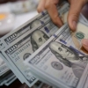 O‘zbekistonda dollar kursi oshdi