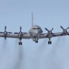 Il-20 halokati boʻyicha yangi maʼlumotlar taqdim etildi. Rossiya Isroilni rasman aybladi (video)