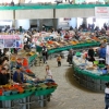 Toshkent bozorlarida eng yuqori cheklangan narxlar belgilandi (foto)