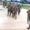 Tajovuzkor g‘oz bir o‘zi amerikalik harbiylarga “chaqiriq tashladi” (video)