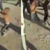 Fargʻonada erkaklar voyaga yetmagan bolalarni urushtirishdi (video)