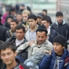 O‘zbekistonda migrantlarga aloqador qonun loyihasi ishlab chiqiladi