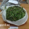 Sergeli tumanida fuqaro 3 kilogramm marixuana bilan ushlandi
