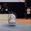 Robot-pingvin Ginnesning rekordlar kitobiga kiritildi