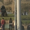 Toshkent viloyatida tezlik bilan kelayotgan Lacetti kanalga otilib ketdi (video)