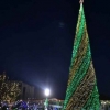 Yangi yil bayrami tadbirlari qachon boshlanishi ma’lum qilindi
