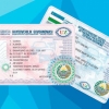 ID-karta va haydovchilik guvohnomasini birlashtirish taklif qilindi