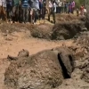 Keniyada botqoqlikka botib qolgan 3 ta fil qutqarildi (video)