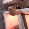 Haykaldek tosh qotgan ilon birdan tashlanib qoldi (video)