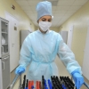 Koronavirus yuqtirganlar soni yana 32 nafarga ko‘paydi