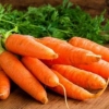 Sabzi - koʻplab vitamin, mineral va mikroelementlarga ega eng foydali sabzavotlardan biri. Koʻpchilik uning foydali xususiyatlarini qadrlashmaydi. Masalan, sabzidagi A vitamini hech qanday dori vositalarisiz koʻrish qobiliyatini yaxshilay oladi. Sh