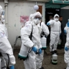 Коронавирус ваҳимаси: Қўрқувни енгиш учун касаллик ҳақида нималарни билиш керак?