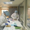 Ўзбек олимлари яратган коронавирусни 5-6 соатда аниқловчи тест тизими оммавий ишлаб чиқарилмоқда